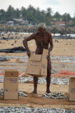 Man Packing Fish into Boxes