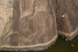 Elephant Carved into Rock at Anuradhapura