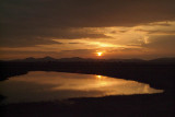 Sunset at Kaudulla National Park
