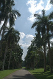 Kandy Botanical Gardens
