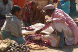 Choosing Onions Badami Market