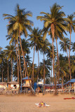 Palm Lined Beach Palolem