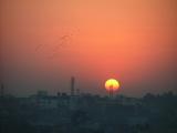 Pigeons at Sunset