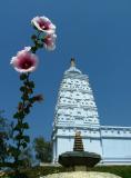 Flowers and Temples