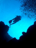 Diver Above