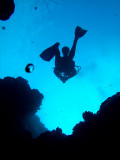 Diver Above 2