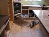 The aisle between the island and desk, before stools.