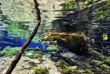 Prata River