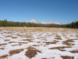 Not quite as much snow down in the meadow.