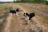 A walk around the (dried up) lake