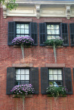 Residence with Window Boxes