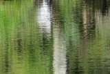 Water Reflections - Wildlife State Park