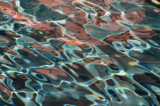 Swimming Pool Water Reflections