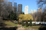 Wollman/Trump Ice Skating Rink