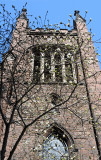 Ascension Church & Magnolia Tree Blossom Buds