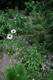 Flower Path - Greenstreet Garden