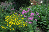 Flower Landscape - Greenstreet Garden