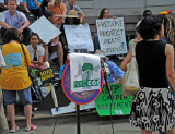 NYC Community Gardens Coalition City Hall Rally