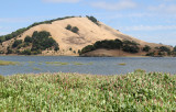 Stafford Lake, CA