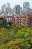 Downtown Manhattan with Yellow Locust Tree Fall Foliage