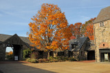 Stone Barns Farm