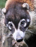 Parque Zoological Simon Bolivar