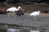 DSC_1804.JPG