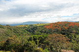 Sarchi Area - Costa Rica