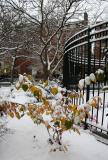 Witch Hazel at the Toddlers Playground