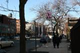 Street Scene - Southwest View