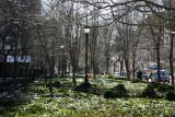 LaGuardia Place Garden
