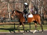 New York City Policewoman on a Horse