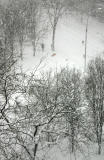 Blizzard of 06