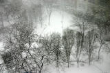 Blizzard of 06