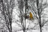 Blizzard of 06