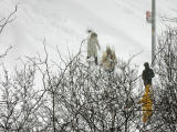 Blizzard of 06