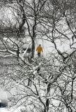 Blizzard of 06
