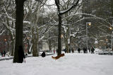 NYU Law School Vanderbilt Hall - Southwest Corner