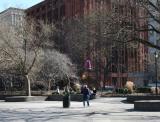 NYU Library