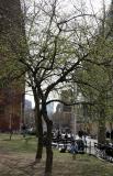 Downtown View at LaGuardia Place