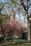 Childrens Playground & Judson Church