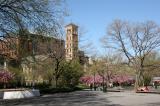 Judson Church