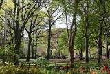 Park View & NYU Library