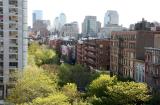 Downtown Manhattan & New Foliage