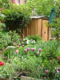 Garden Plots & Shed