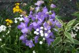 Garden Bouquet