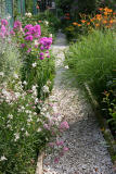 Garden Path - Gaura, Phlox & Day Lilies