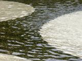 Fountain Pool Reflections