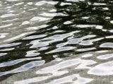 Fountain Pool Reflections
