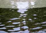 Fountain Pool Reflections